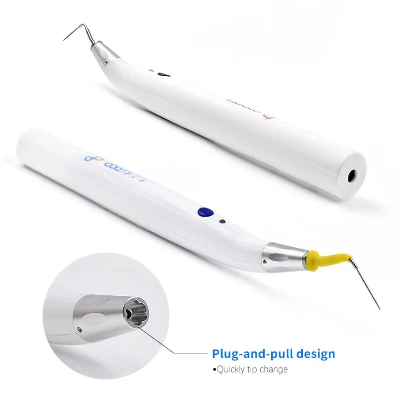 Рисунок 6 - Эндообтурационная система зубных