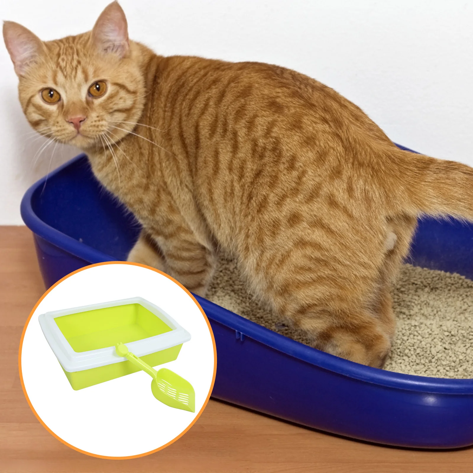 

Splashproof Semi-Enclosed Cat Toilet Litter Box Rectangle Durable Plastic Low Entry Easy Maintenance Cat Bathroom Solution