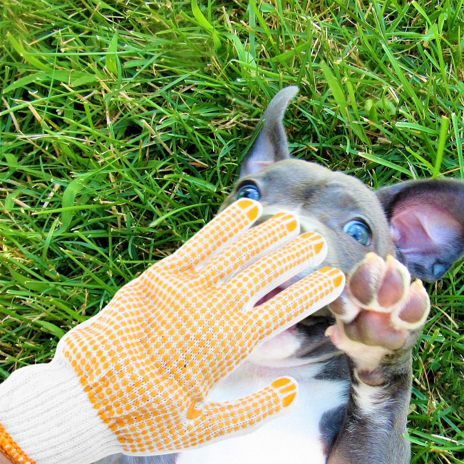 Anti-scratch Glove Anti-bite Cat Hair Brush Animal Protection Mittens Pet Small