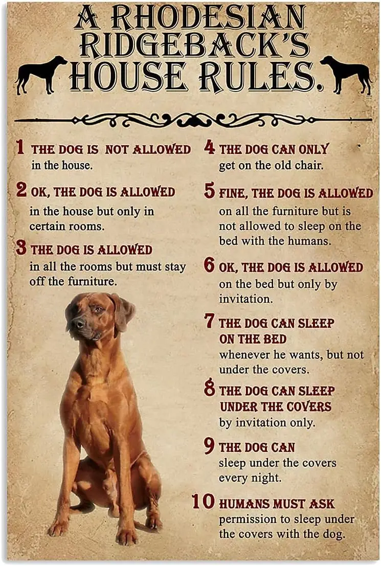 Metal Tin Retro Sign -The Dog House Rules A Rhodesian Ridgeback - Print Wall Art Metal Poster Living Room Garden Bedroom Office