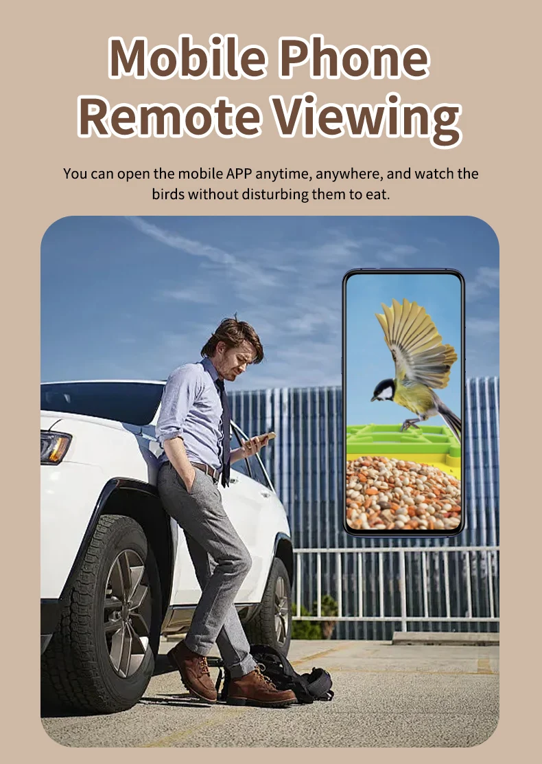 STLFSmart Bird Feeder HD CamerasMobiele app-bediening Weerbestendig buitenbewakingssysteem op zonne-energie