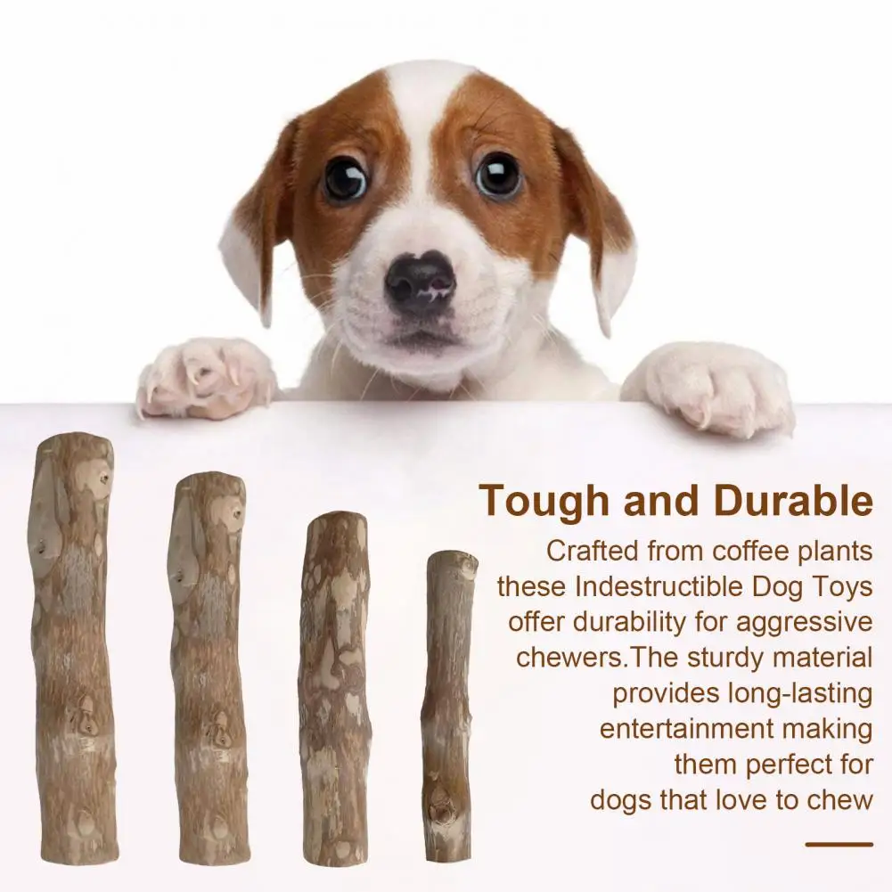 Pet-safe Chewing Sticks Natural Wooden Dog Chew Sticks for Teeth Stress Relief Wood Chews Toy for Dental Health Care for Dogs