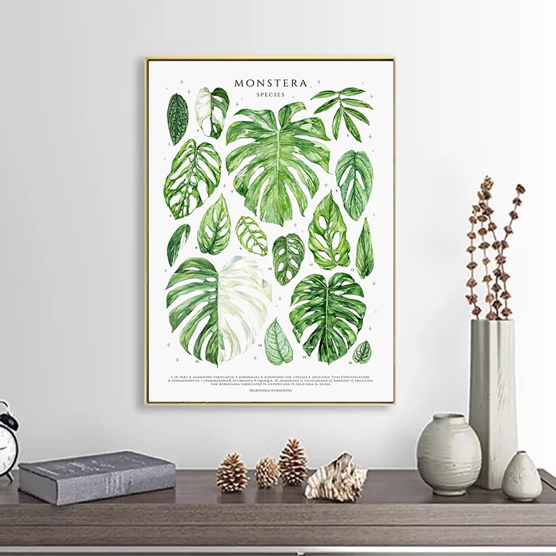 Watercolor Leaves Monstera Genus Botanical House Plants Chart Nordic Poster Canvas Painting Wall Art Pictures Home Decor