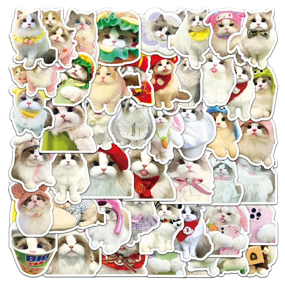 10/30/50pcs Cute Ragdoll Cat Cartoon Stickers Kawaii Graffiti Decals Waterproof DIY Phone Case Notebook Luggage Sticker Packing