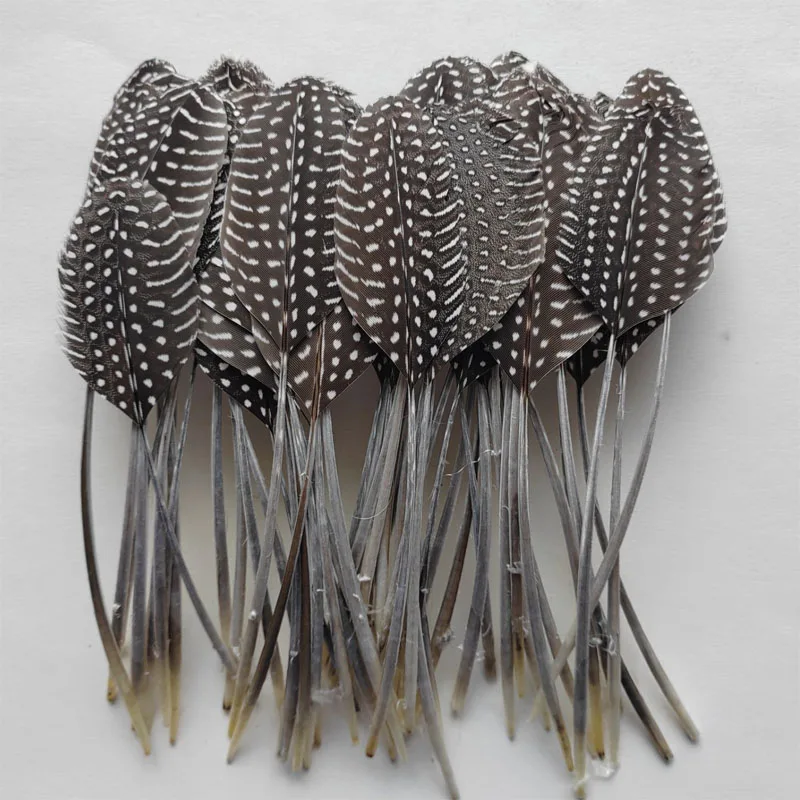 50 Piezas/Lote de Plumas Naturales de Gallina de Guinea de 15-20 cm (6-8 Pulgadas) para Sombrerería, Accesorios de Ropa DIY
