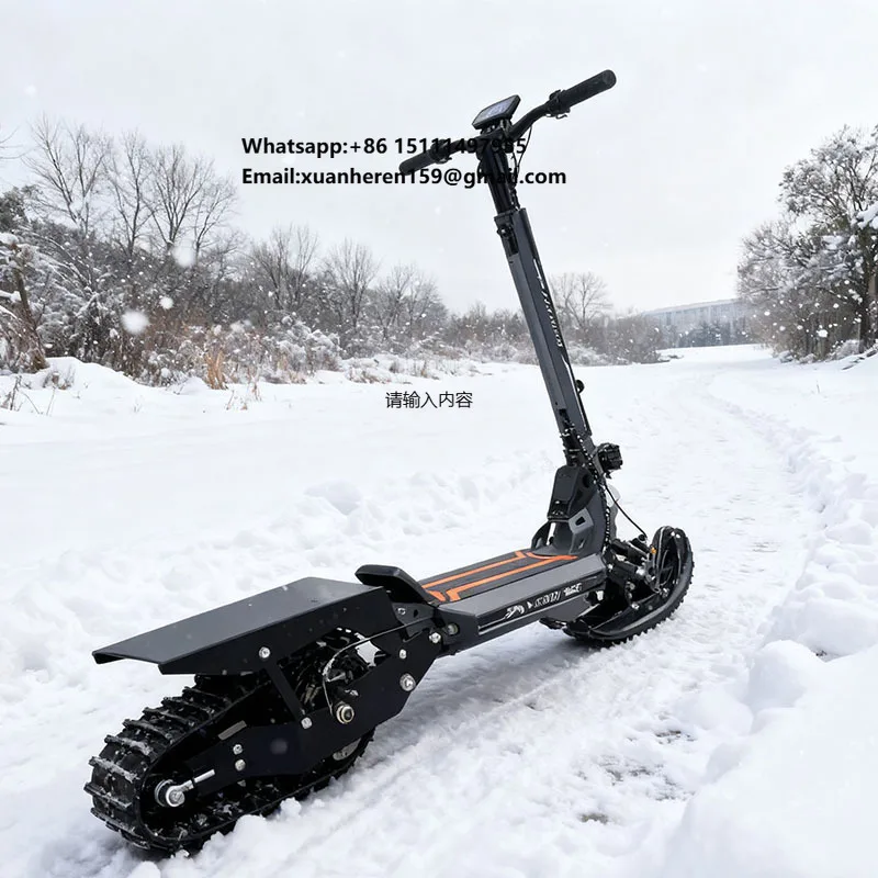 3 in 1 Electric Snow Scooter for Adults High Quality 800w 11inch Wheels Electronic Smart Type for Snowboarding