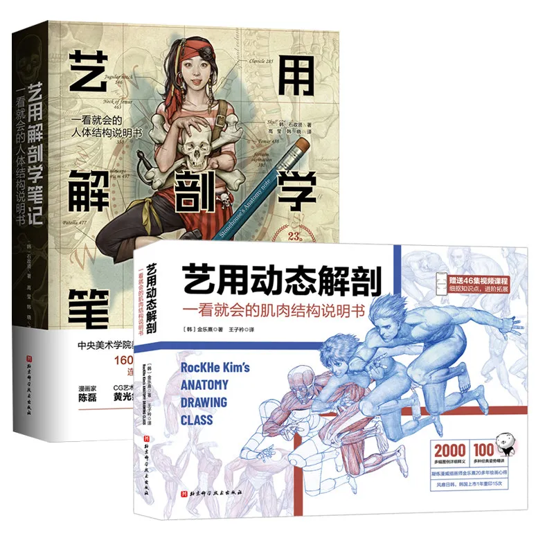 1 book Human Body Muscle Drawing Tutorial Books, Artistic Anatomy Notes Drawing , Human Body Structure Sketching Tutorial, Atlas