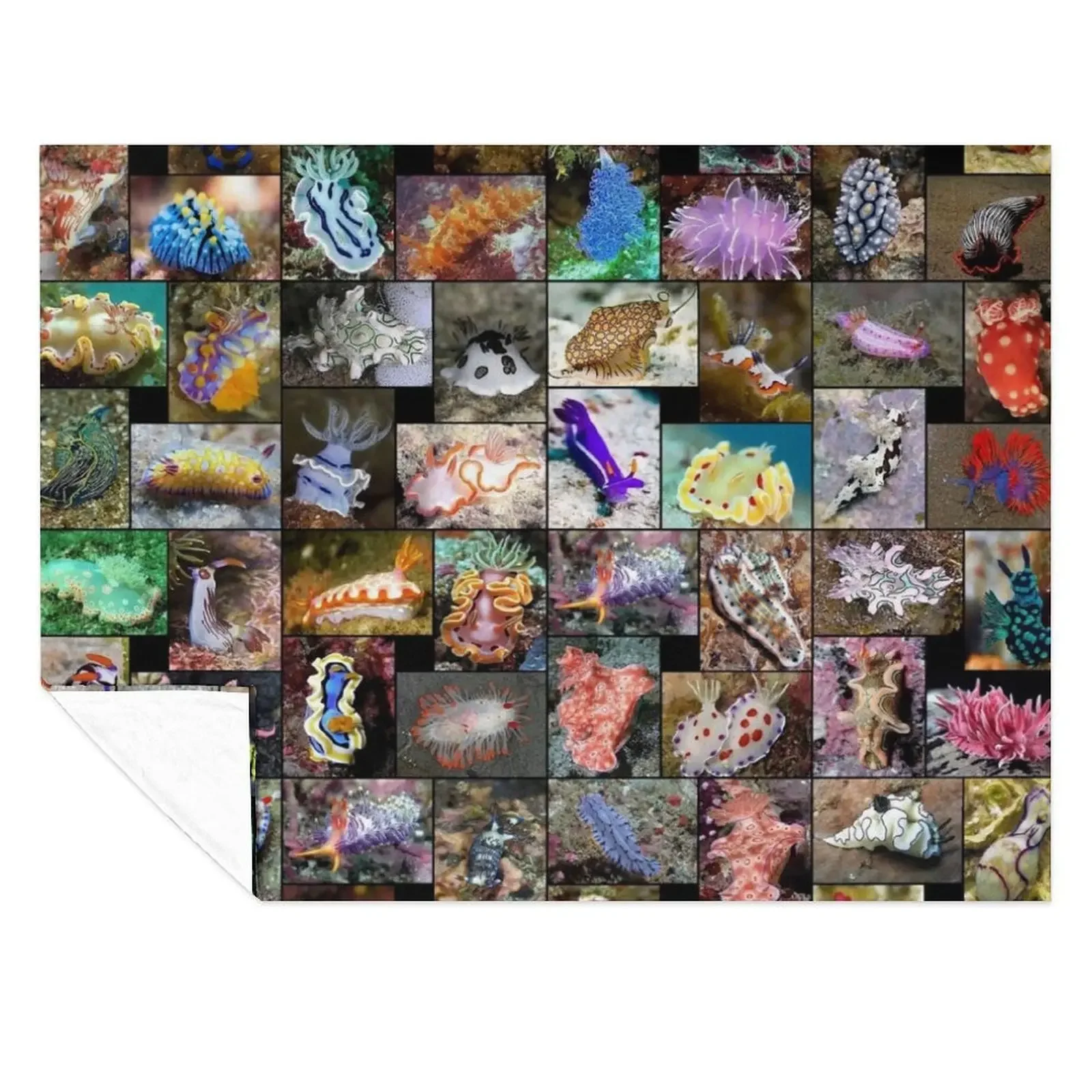 

Sea Slugs Throw Blanket Bed Fashionable valentine gift ideas warm winter Travel Blankets