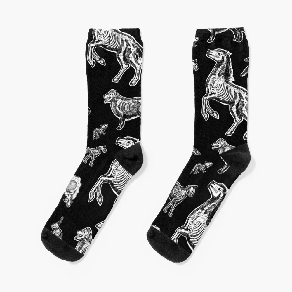 

Veterinary Technician :: X-ray Animal Bones Anatomy Socks Lots Running set crazy Male Socks Women's