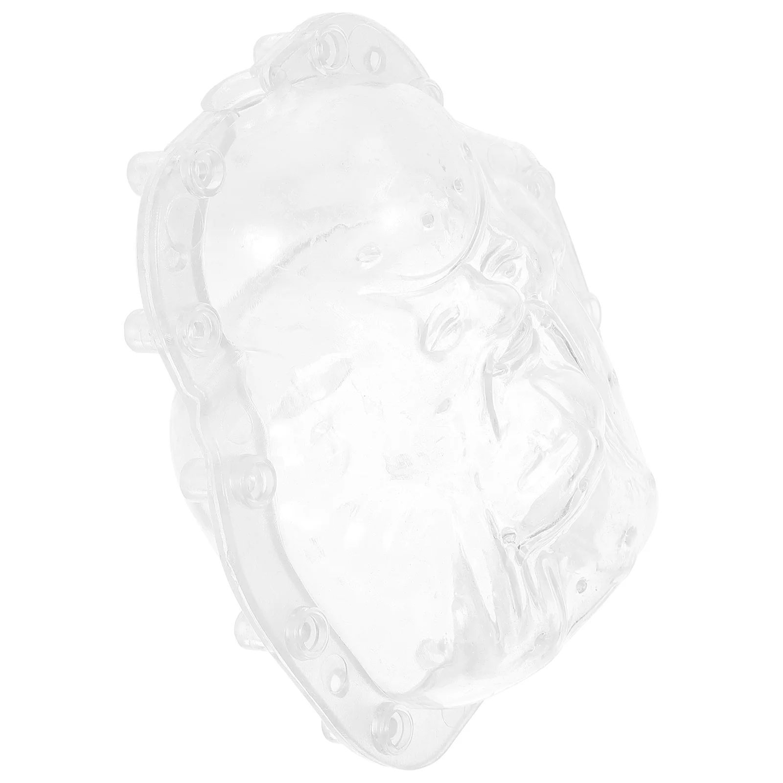 

Ginseng Fruit Growing Mold Small Clear Plastic Reusable Molds for Garden Yard Backyard Planting Helper Fruit Molds