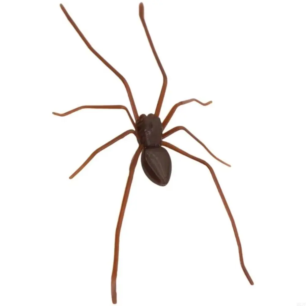 Fridge Magnet Magnet Simulation Spider 3D Design Realistic Look Spiders Decoration Plastic Animal Spider Prank Prank Gift