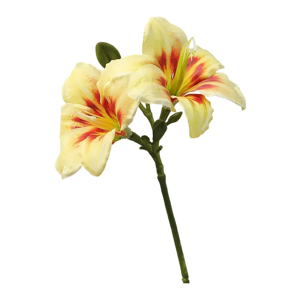 

Artificial Two Head Clivia Orchid Silk Flower Bouquet Designed for Wedding Floral Displays and Home Decoration