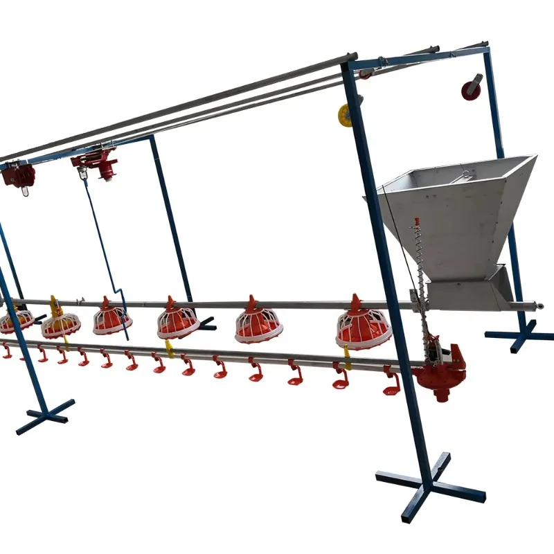 Customizable Buy Automatic Poultry Feeders and Drinkers for Chickens Farm Equipment Providing Efficient Chicken Feedings