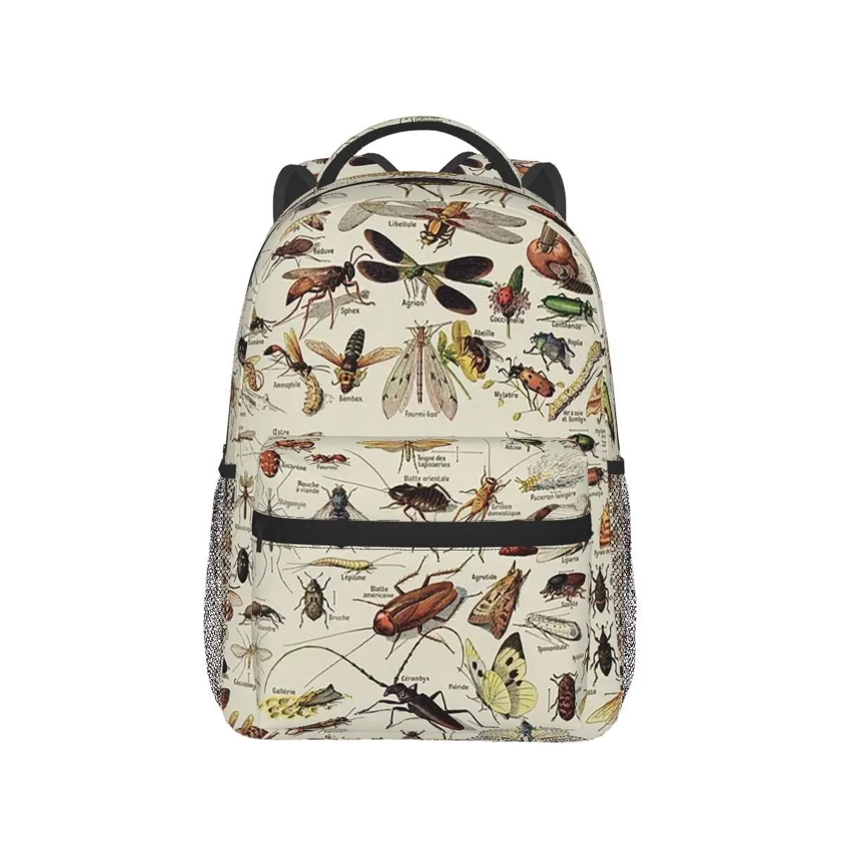 Insects Chart. Scientific Illustration, Text In French Backpacks Boys Girls Bookbag Children Bags Laptop Rucksack Shoulder Bag