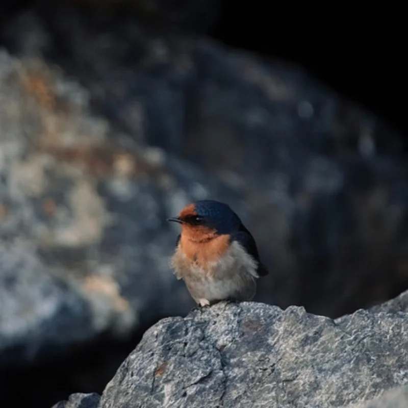 

Для Tamiya резиновые шины, колеса, шины 1/14, ступицы обода колеса, радиоуправляемый трактор, прицеп, грузовой буксирный грузовик, запчасти