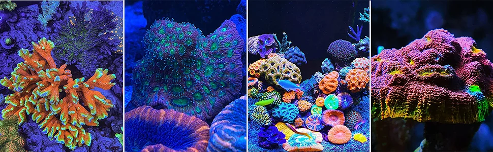 PopBloom-Marine Aquarium LED Lighting Smart Saltwater LED Aquarium Lamp for Reef Coral Fish Tank Lamp,180-240cm,WiFi-App Control