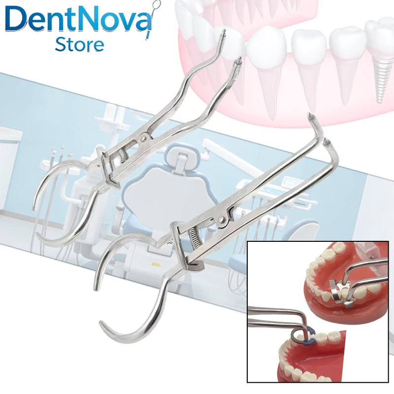 

Dental Rubber Dam Clamp Forceps Stainless Steel Plier for Endodontic Root Canal Treatment Orthodontic Clamp