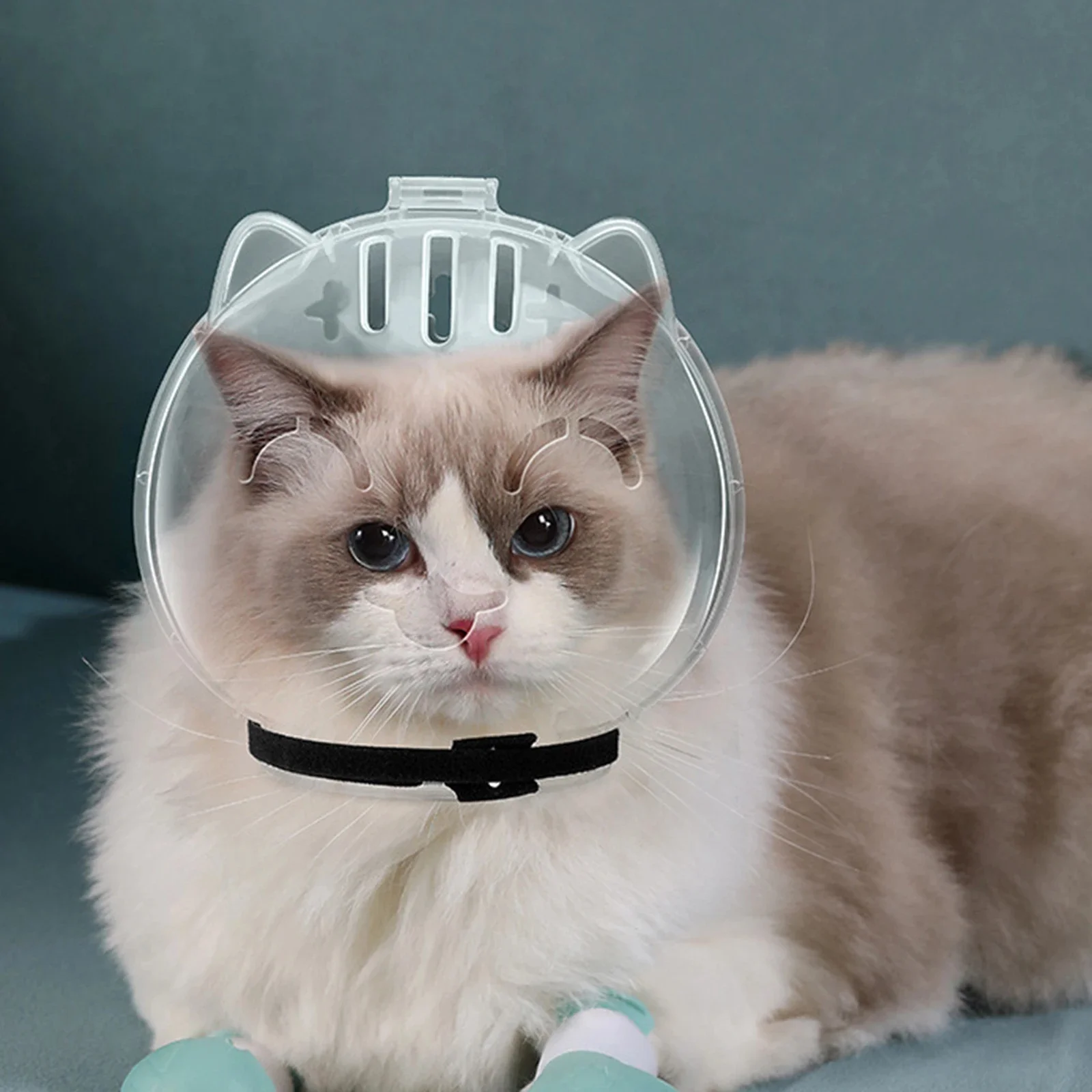 Premium Katzen-Maulkorb Anti-Biss Anti-Leck-Schutzhaube Atmungsaktiver Katzen-Pflegeschutz mit 4-teiligem Silikon-Katzenpfoten-Schuhset – Detail 1
