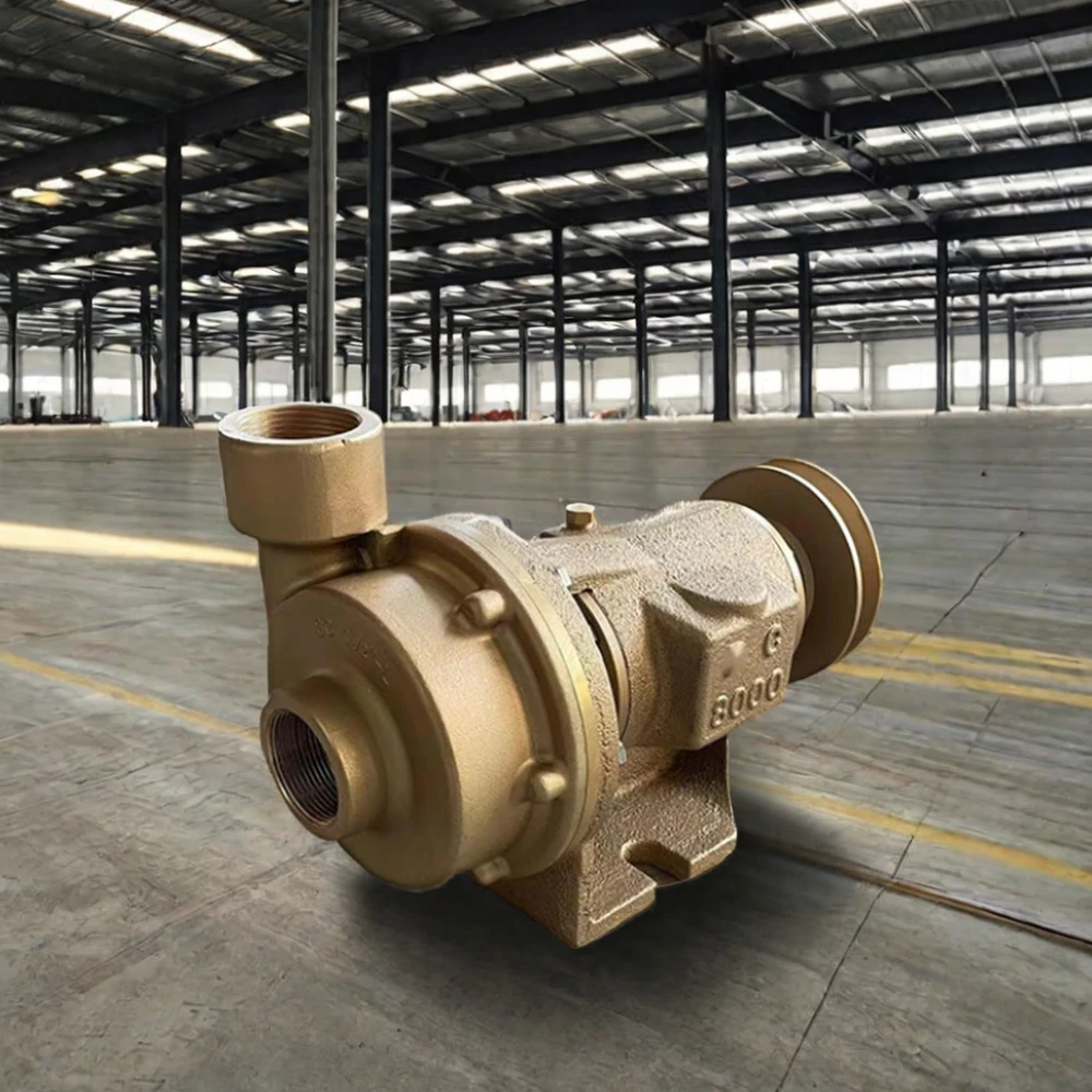 Sea Water Pump  for Boat Ship Vessel