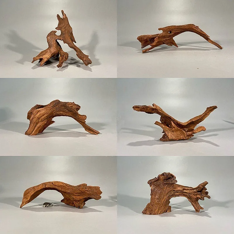 Natural Driftwood Aquarium Moss Tree Shape Decoration with Azalea Roots Fish Tank Landscape Wood Aquatic Plants Shrimp Habitat