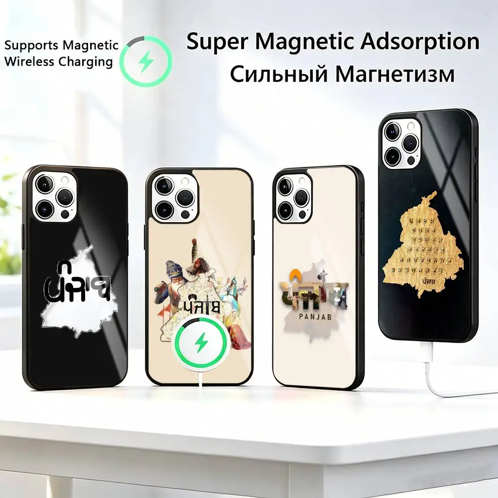 ART Punjab M-Maps Phone Case For iPhone17,16,15,14,13,12,11 Plus,Pro Compatible with magnetic wireless charging