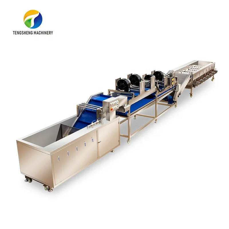 Industrial Fruit and Vegetable Cleaning and Air-drying Sorting Production Line Food Processing Equipment