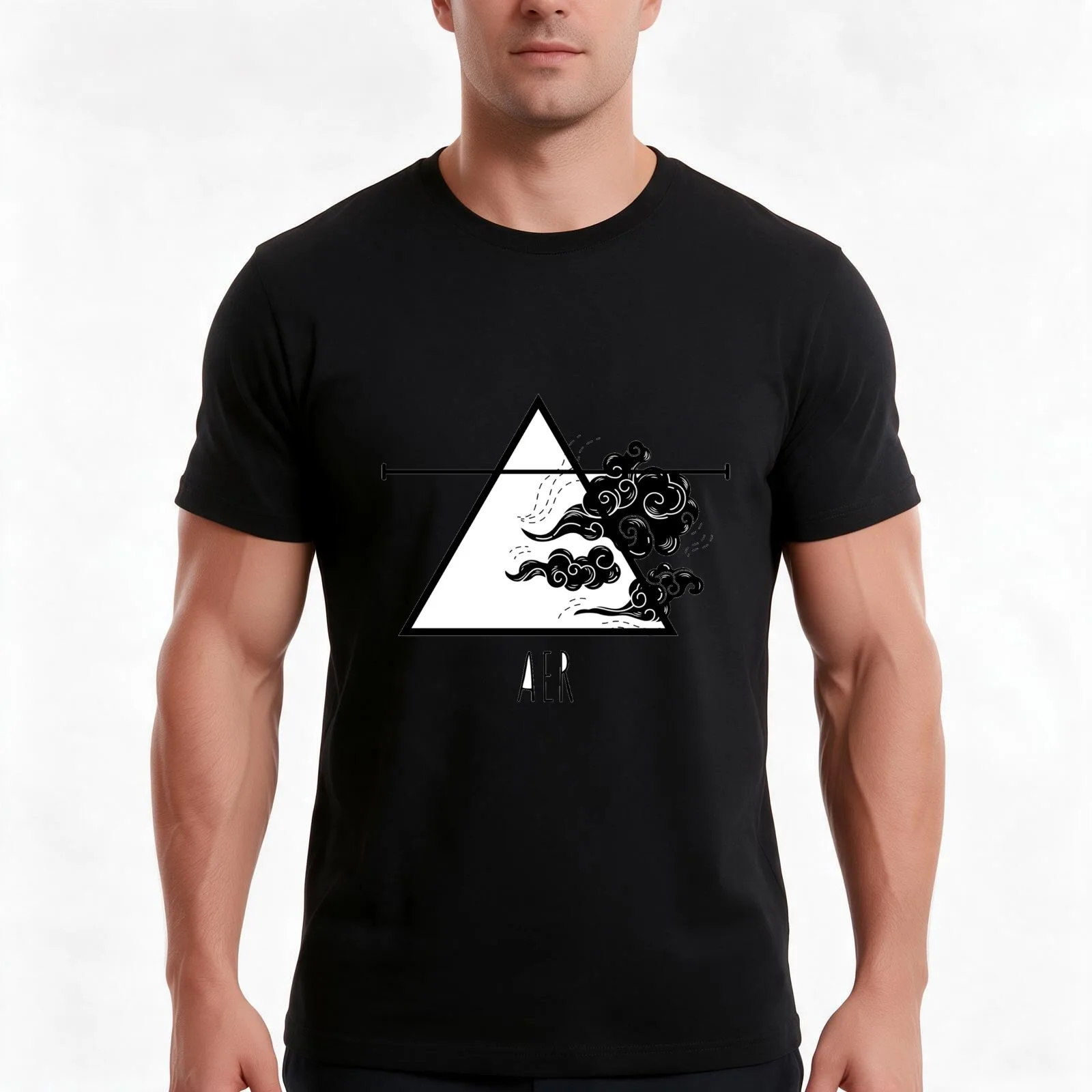 Aer Zodiac Academy Houses Sticker Value Pack T-Shirt, Summer Casual Cotton Tee, Oversized Streetwear Tops, Vintage Graphic Print