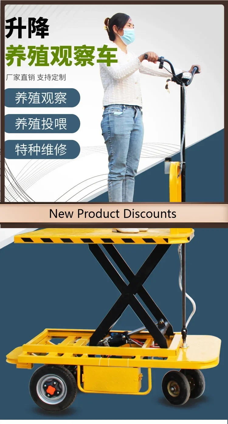 

HR Electric Lift Breeding Flatbed Observation Patrol Cart Hand-Pushed Transport Heavy-Duty Battery Cart