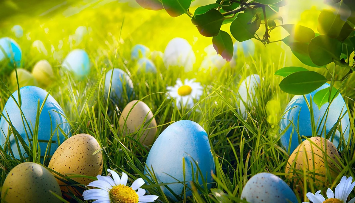 Spring Easter Festival Theme Backdrops Sunshine Green Grass Color Eggs Photographic Bunny Rabbit Cute Baby Portrait Backgrounds