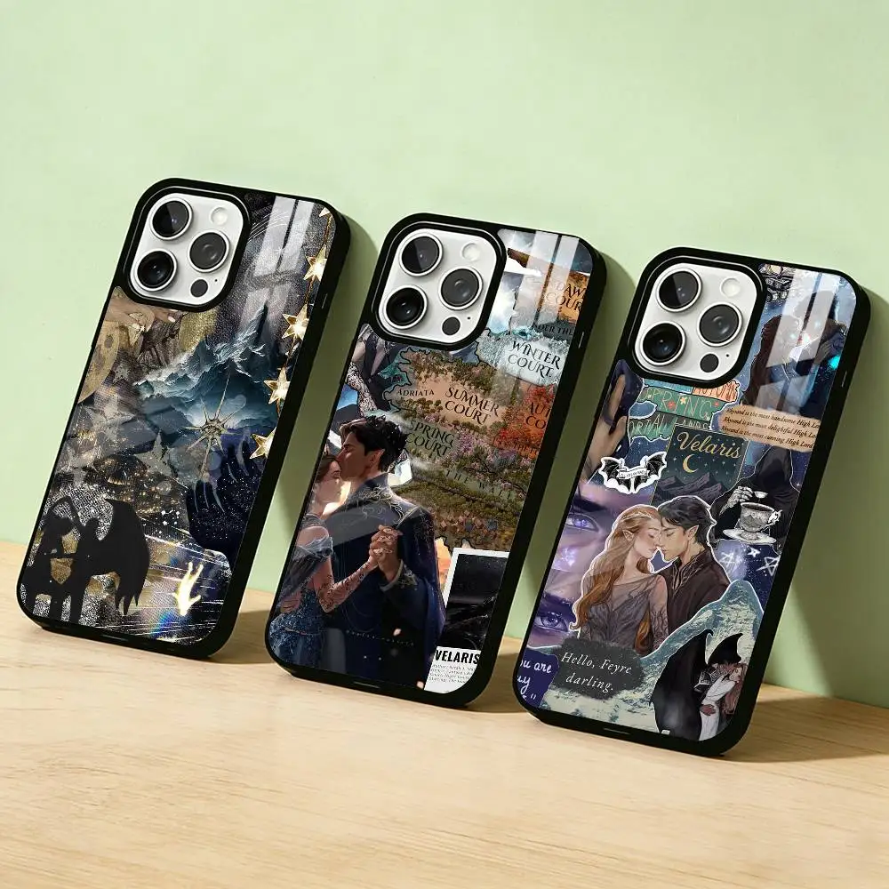 

AAA Acotar A Court of Mist and Fury Phone Case For iPhone 17,16,15,14,13,12,11,Pro Max,Plus Candy Silver Cover