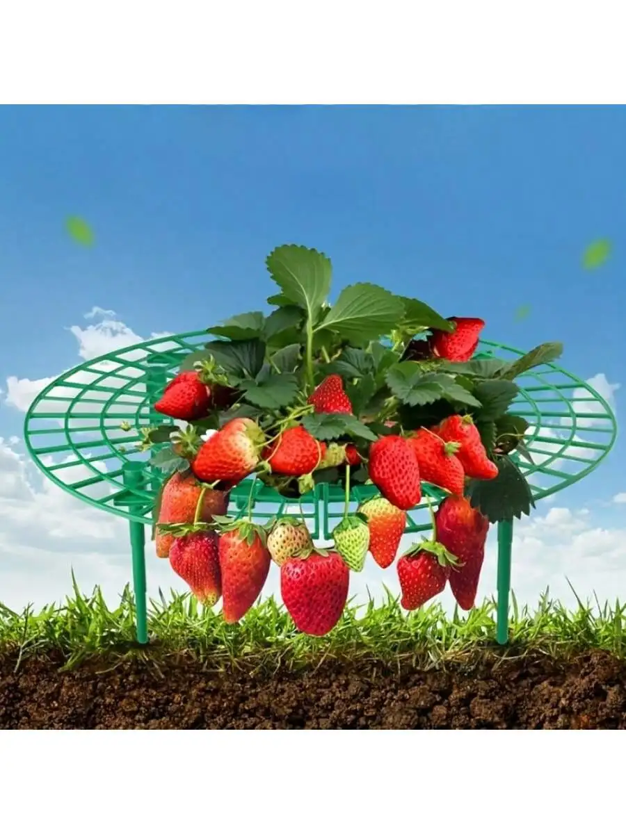 

3/5/7 упаковок клетки для поддержки клубничных растений, с прочными кронштейнами, прочная пластиковая рамка, подходит для садов - защита растений, предотвращает повреждение грибка
