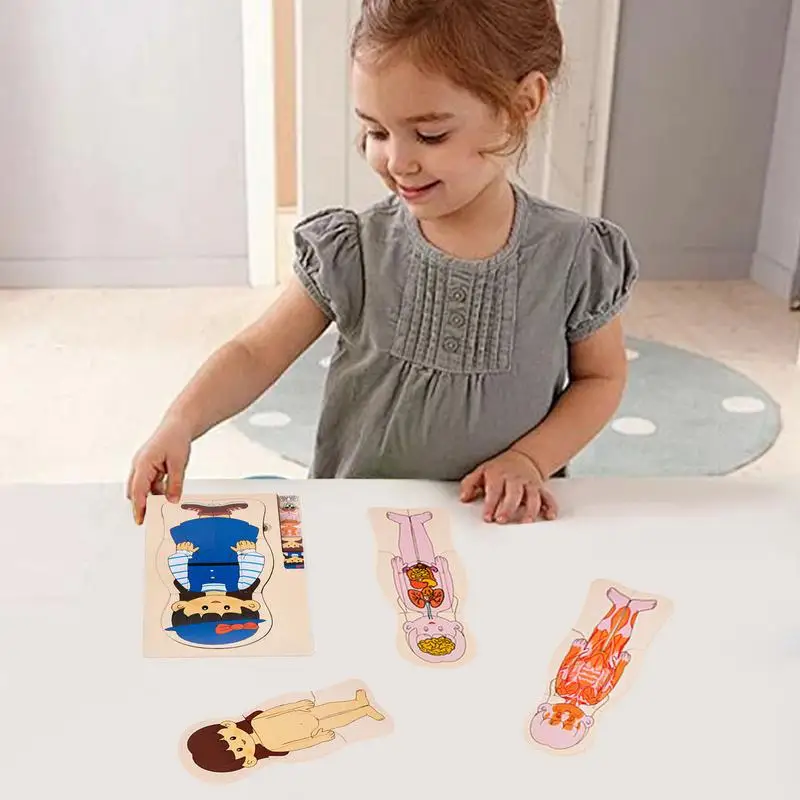 Menschlicher Körper für Kinder, Anatomie für Kinder, Lernen, kreative realistische Puzzlespiele für die Schule, Vorschullabor, Klassenzimmer, Wissenschaft