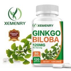 Ginkgo Biloba 120 Mg - Enhances Mental Clarity and Keeps Your Mind Sharp