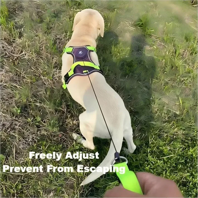 Thumbnail 3 - #9 Latest Retractable Dog Leads Offers