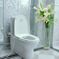 Bathroom Smart Toilet Seat Bidet Toilet Lid / Ass Flusher Intelligent Toilet Flushing Sanitary Device