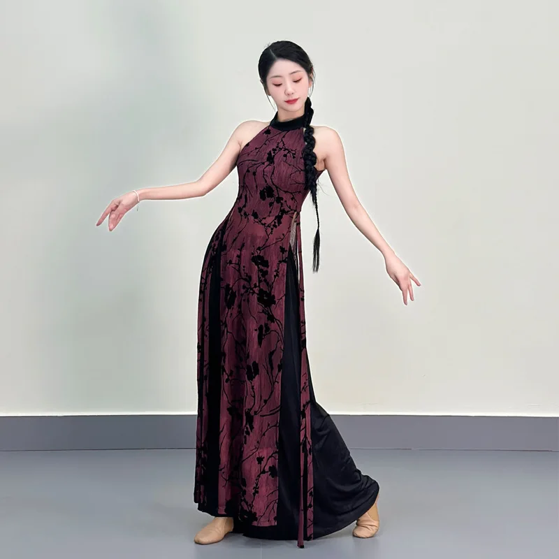 Women New Classical Dance Dress Elegant Split Long Skirt Traditional Chinese Dance Costume For Practice Stage Performance