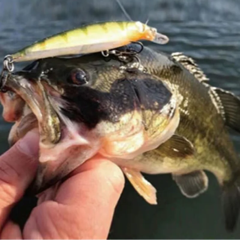 80/100mm 7/13g XR-10 Schwebender Minnow-Angelköder X-RAP Künstlicher Schwimmköder mit Federhaken und Durchscheinendem Körper für Barsch – Detail 8