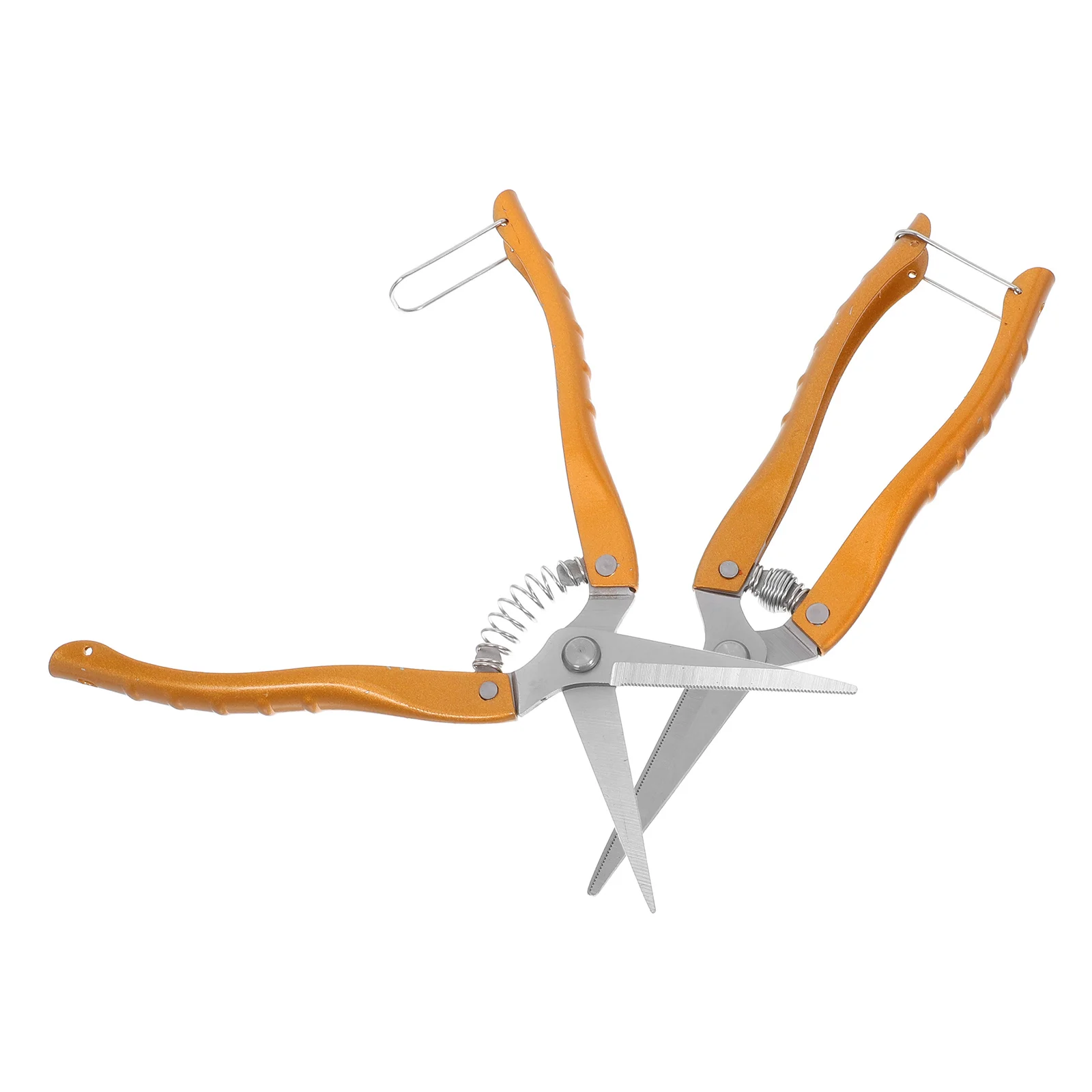 Рисунок 5 - ручные секаторы, инструменты из