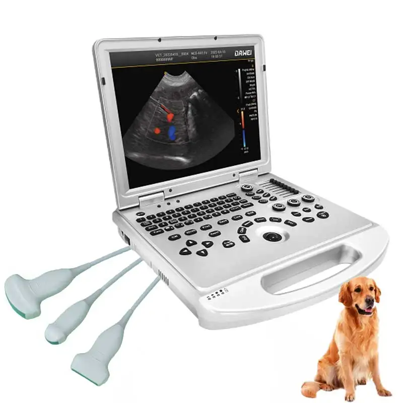 Dawei Veterinary Instrument Pregnancy Diagnosis Colour Doppler Ultrasonography Portable Ultrasound Machine for Cows