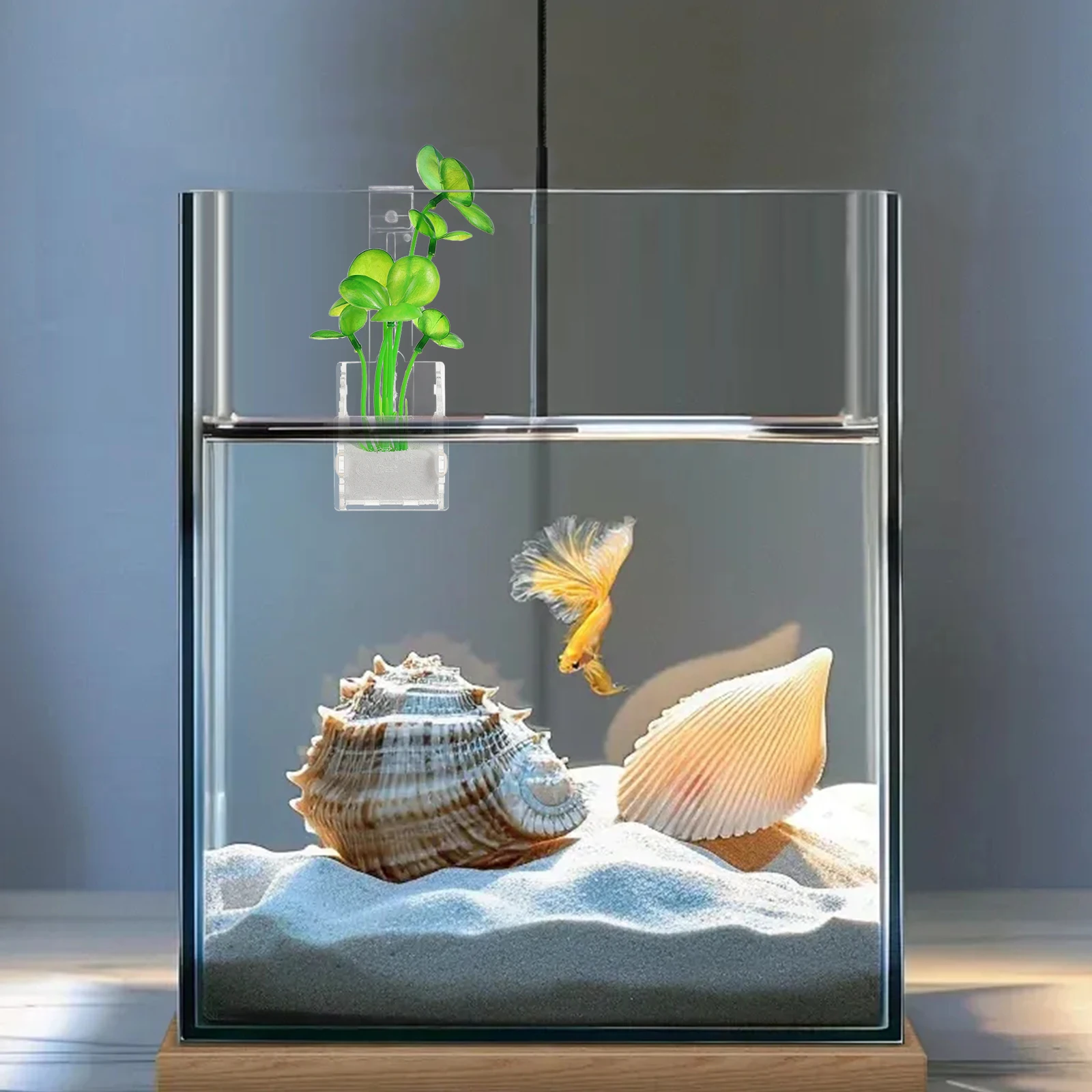 

4 pcs Aquatic Planting Cup Acrylic Water Holder Fish Tank Stand Decorations Easy Planting Transparent Design Sturdy Reusable