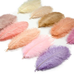 Weiße Straußfedern, große Federn, Karnevalstisch, Accessoires für Hochzeitsfeier, Dekoration, 15-60 cm, 10pcs 6 Hauptverkäufe weiße Wolke - №1