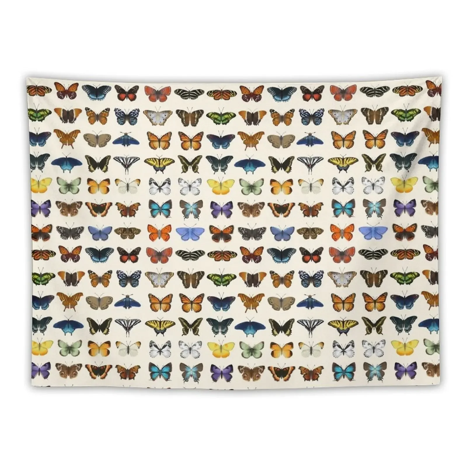 

Butterflies of North America Tapestry Decoration For Home Japanese Room Decor Wallpaper Decoration Room Tapestry