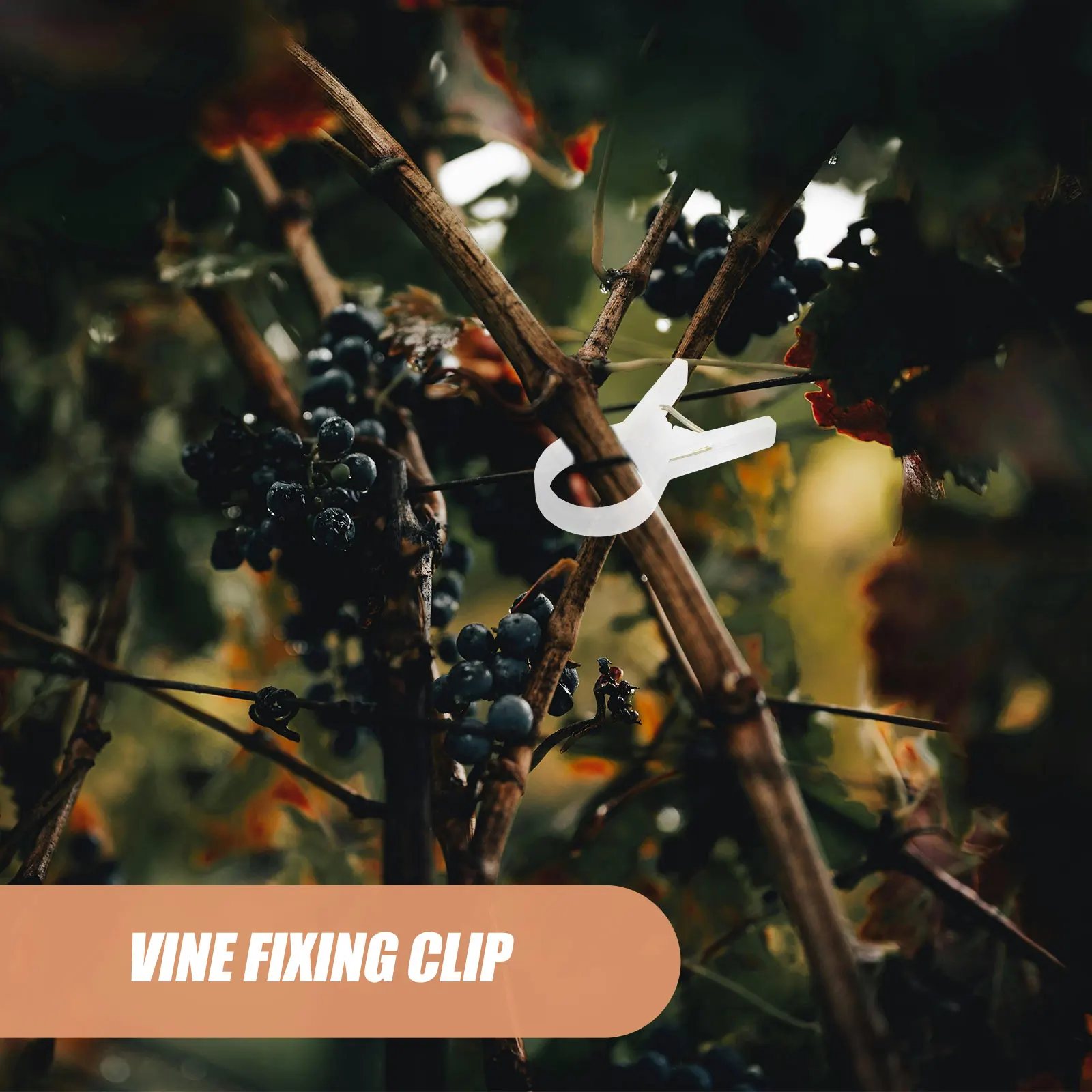 

100 Pcs Tie Vine Clip Flower Clips Garden Hanging Plants Tomato Plastic Trellis Stem Supports Climbing Plantsupport