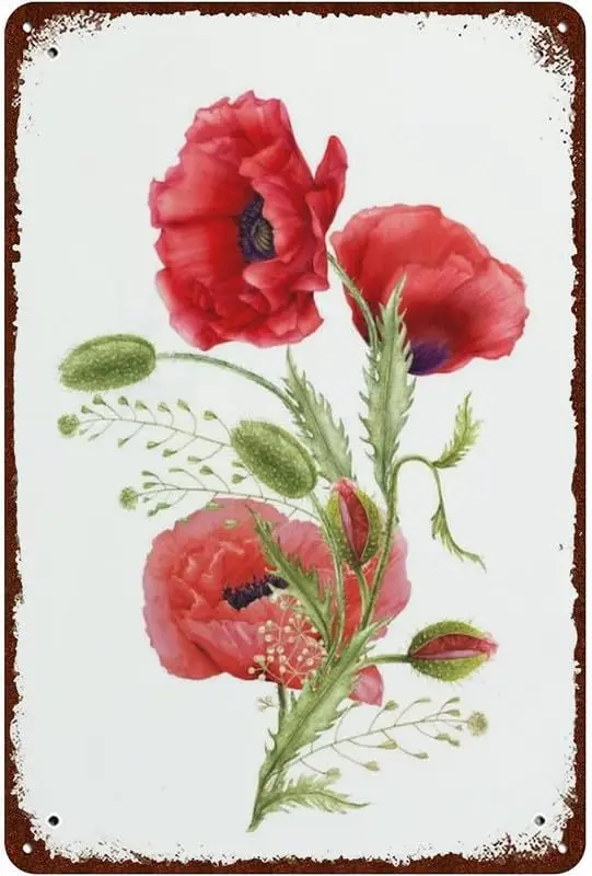 Summer Floral Poppy…