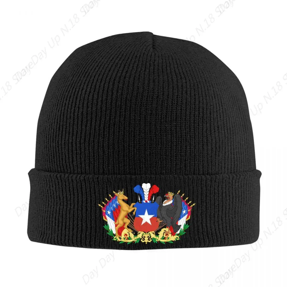 Coat Of Arms Of Chile Bonnet Hats Street Knitted Hat For Men Women Warm Winter Chilean Flag Skullies Beanies Caps