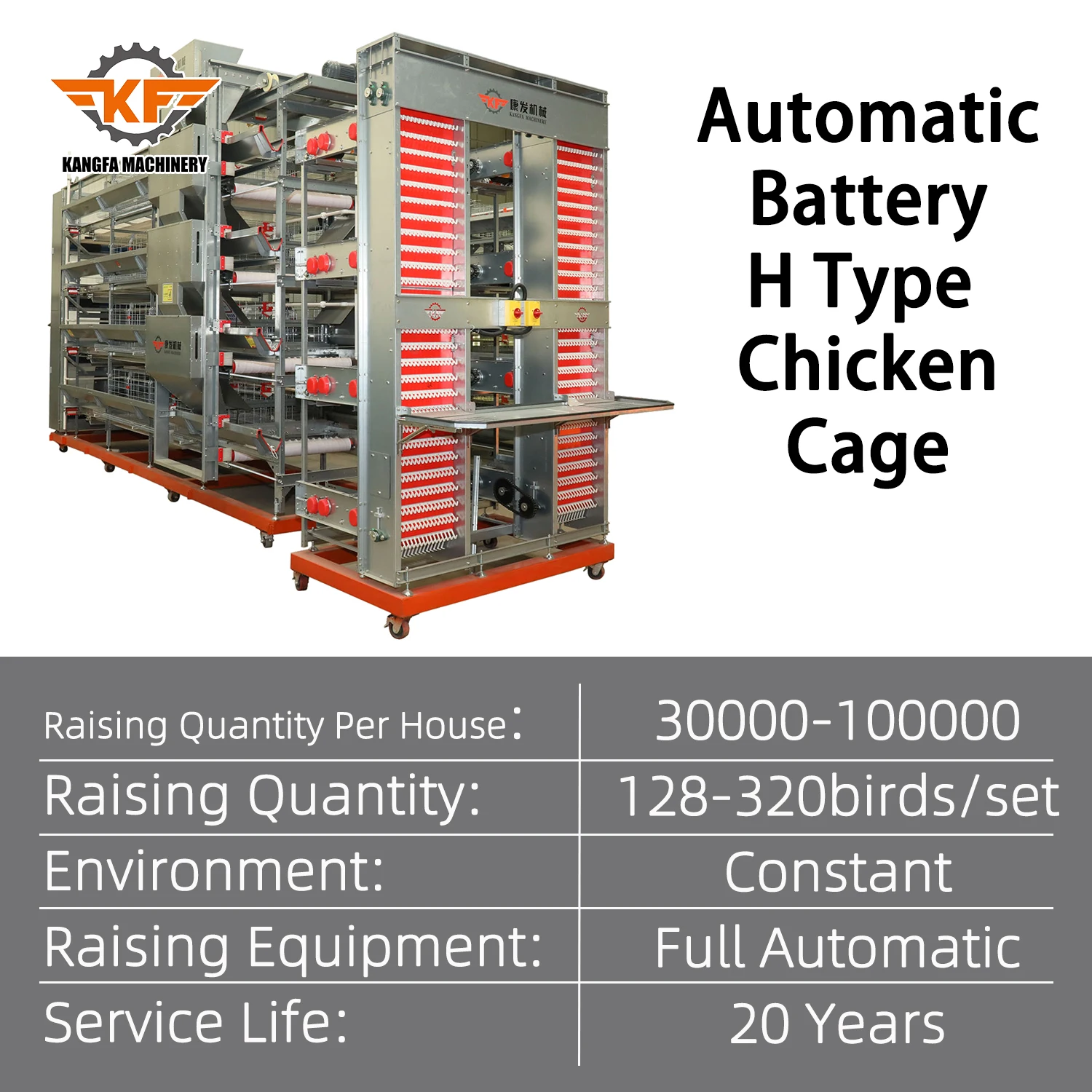 Factory Direct H Type Layer Cage with Automated Egg Collection for Nigeria
