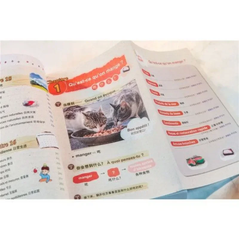 Super Easy To Use Spanish Word Book, Mind Map, Spanish Learning Book, Illustration for Easy Memory