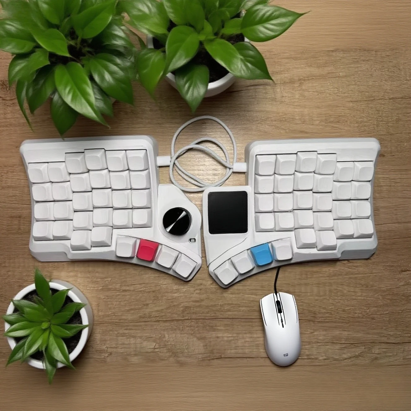 

Ergohaven HPD V2 Curved Split Keyboard Wired Hot Swap Split Keyboards With Knob Touchpad Custom Vial Split Mechanical Keyboard