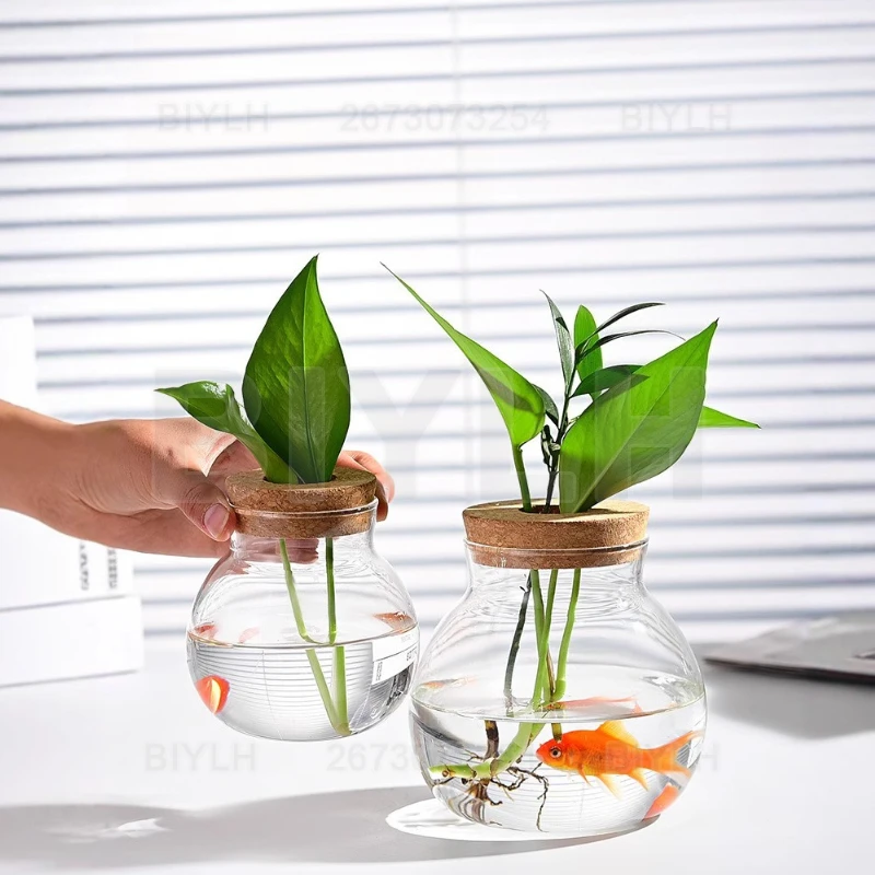 Hydroponic Plant Glass Vase With Cork Lid Home Decor Transparent Plant Pot Garden Accessories Micro-landscape Ecological Bottle - view 3