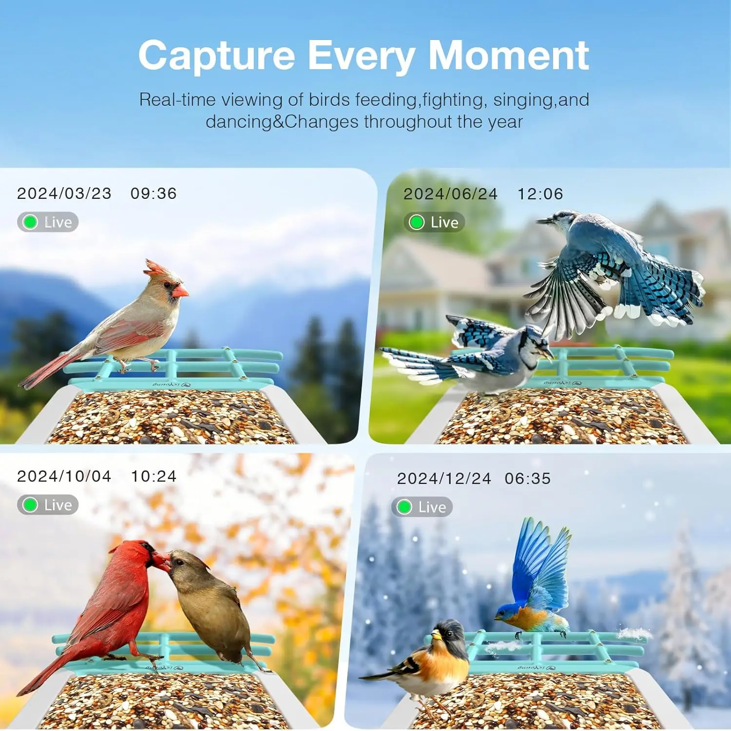AI Bird Feeder with Camera, Identifies 16,000+ Species, Solar Powered, Wide View Motion Detection - Perfect Gift